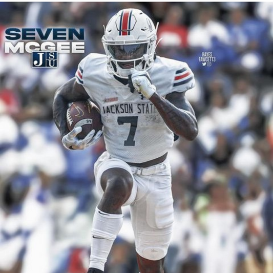 Seven Mcgee - Fan Arch.webp