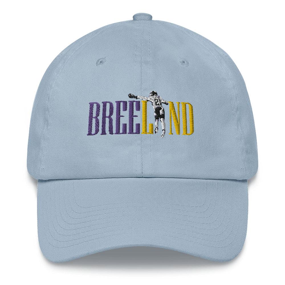 Bashaud Breeland "B21" hat - Fan Arch