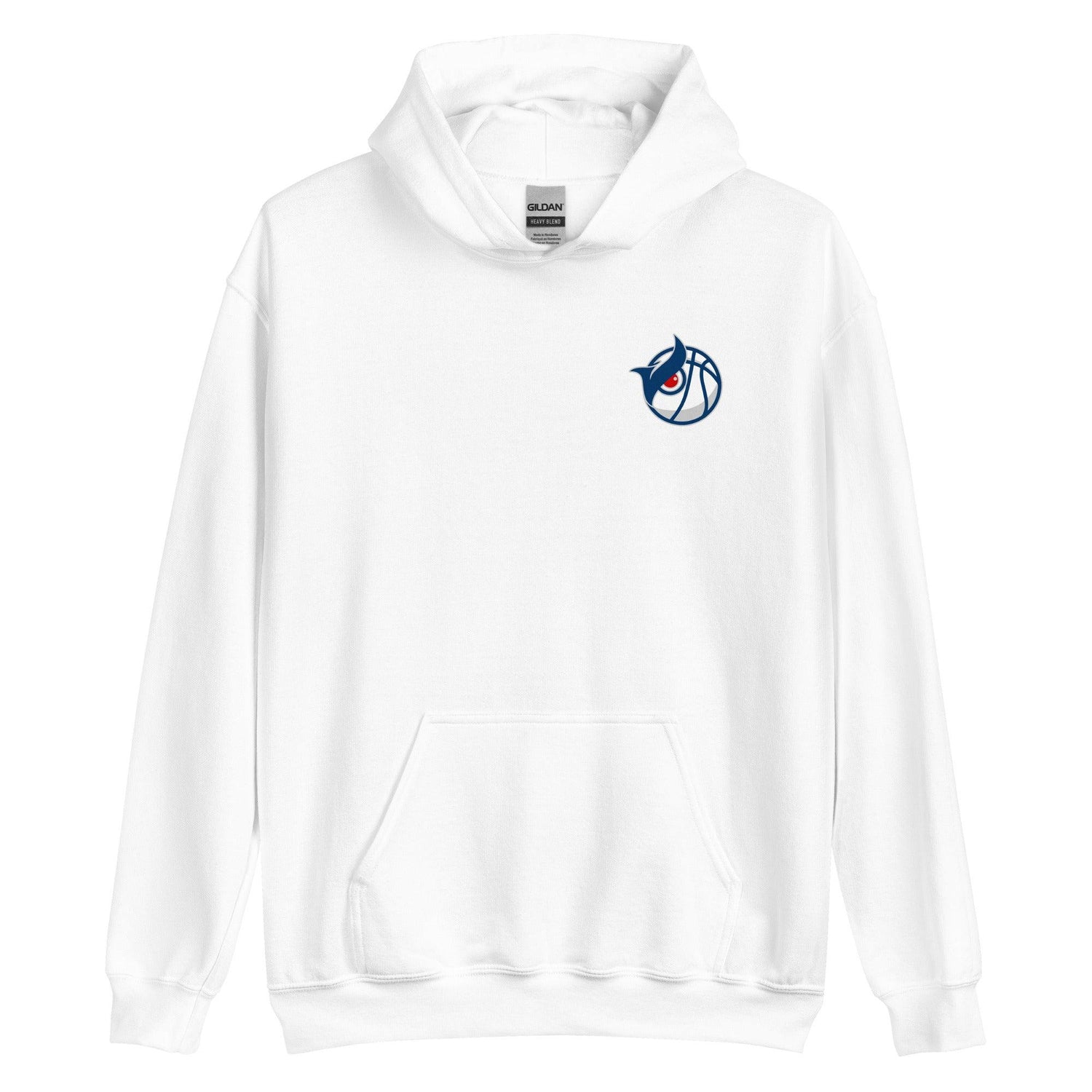 Owl Ballers Hoodie - Fan Arch